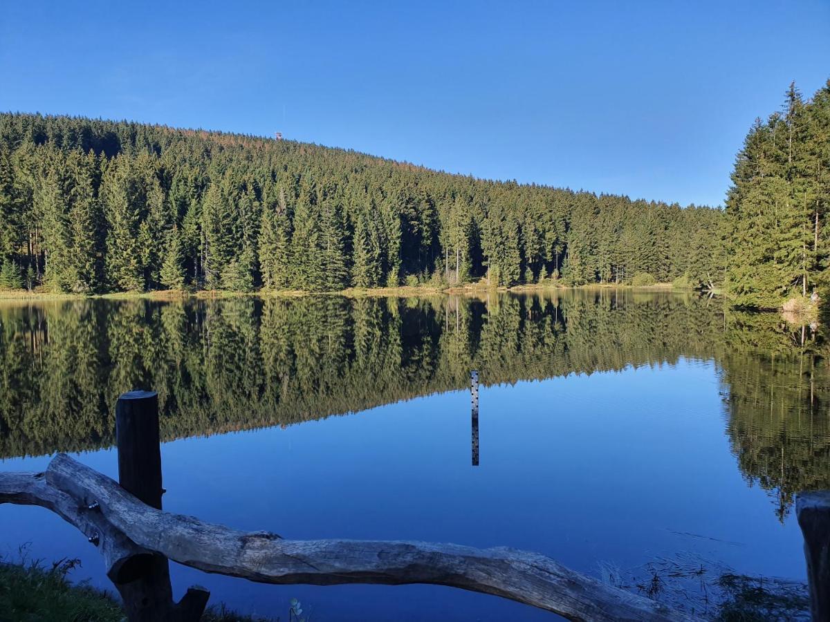 Harz Enjoy - Vier Jahreszeiten Goslar Exteriör bild